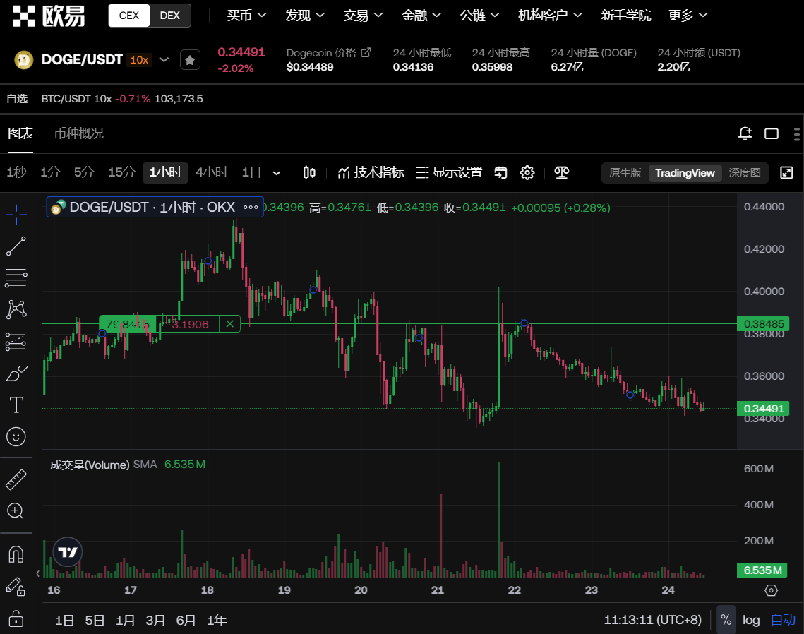 狗狗币上扬势惊人，一夜飙升OKX%，加密市场沸腾