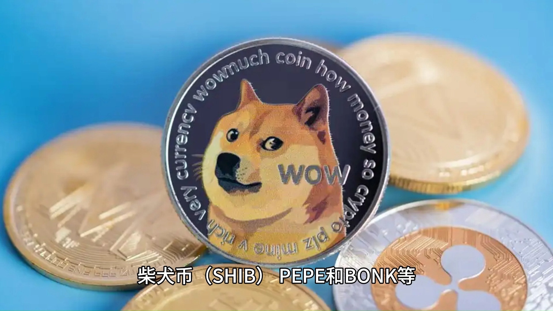 狗狗币官方发布与216携手，开启元宇宙新纪元！